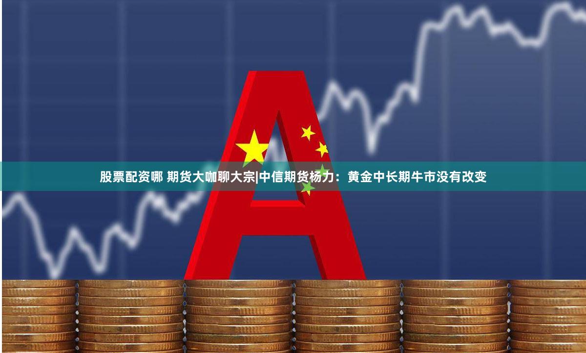 股票配资哪 期货大咖聊大宗|中信期货杨力：黄金中长期牛市没有改变