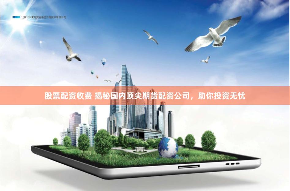 股票配资收费 揭秘国内顶尖期货配资公司，助你投资无忧